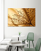 Obraz Za rána za rosy 1454